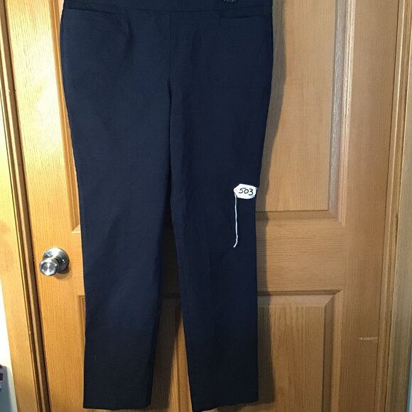 Briggs Dress Pants - Picture 1 of 2